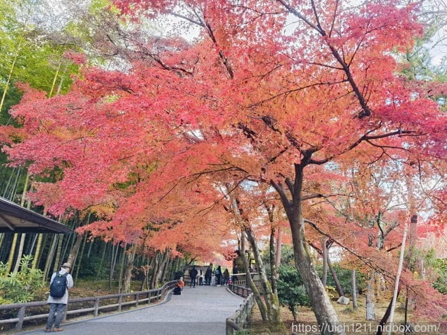 大阪賞楓之旅4 - 第73張圖 大阪賞楓之旅4