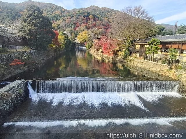 大阪賞楓之旅4 - 第6張圖 大阪賞楓之旅4