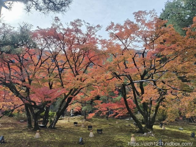 大阪賞楓之旅4 - 第58張圖 大阪賞楓之旅4