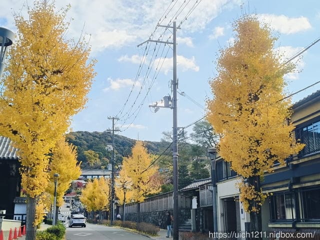 大阪賞楓之旅完結篇