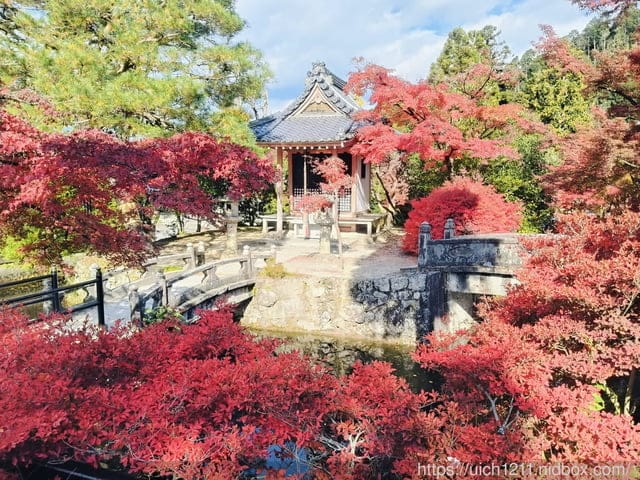 大阪賞楓之旅完結篇