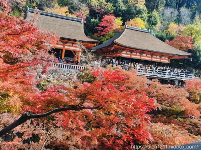大阪賞楓之旅完結篇