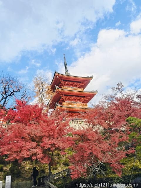 大阪賞楓之旅完結篇