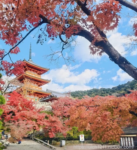 大阪賞楓之旅完結篇