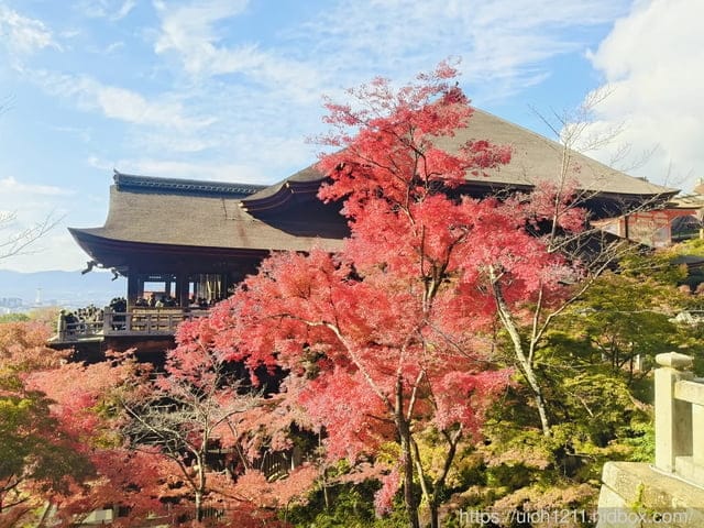 大阪賞楓之旅完結篇