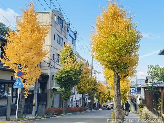 大阪賞楓之旅完結篇