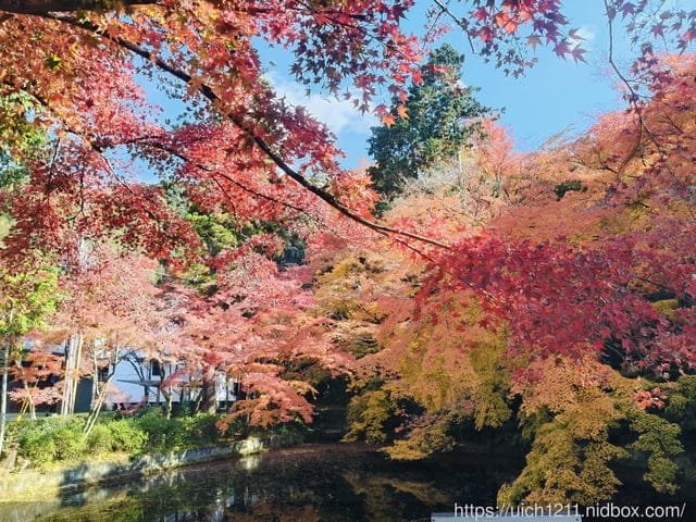 大阪賞楓之旅完結篇