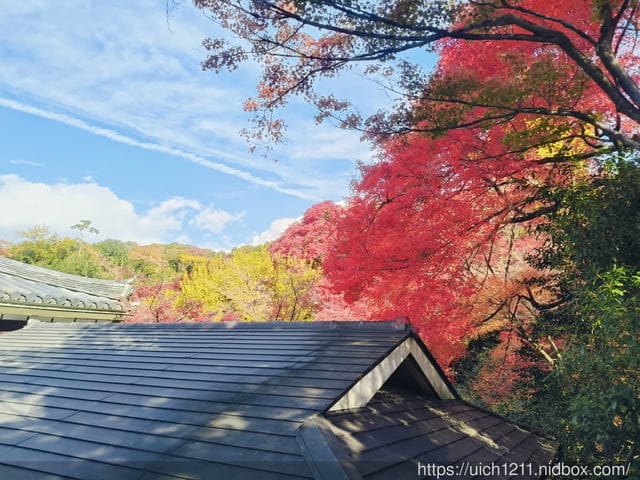 大阪賞楓之旅完結篇