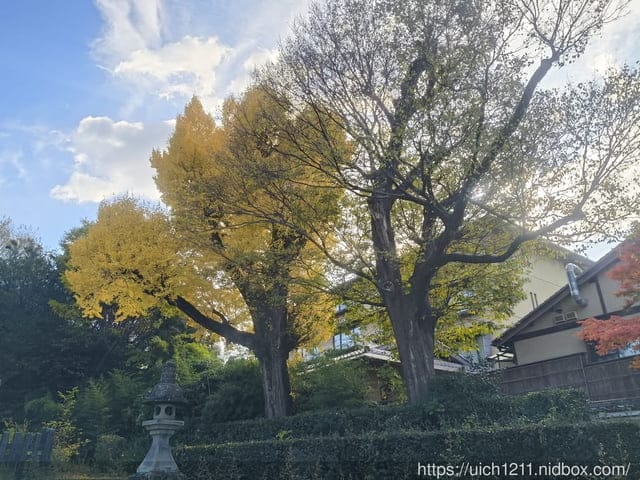 大阪賞楓之旅完結篇