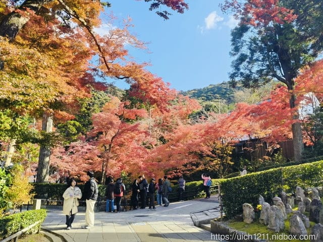 大阪賞楓之旅完結篇