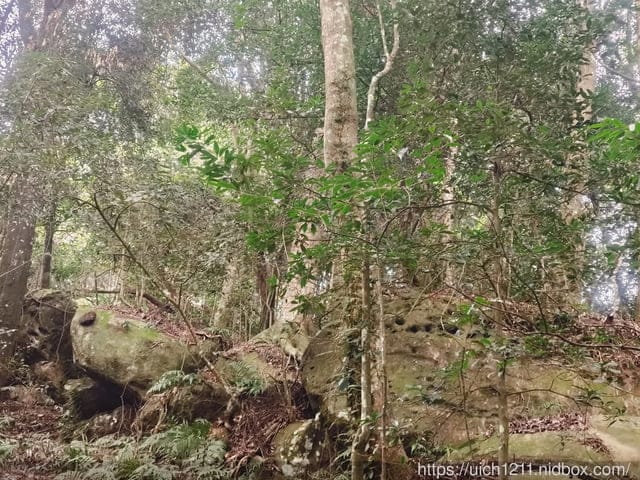 苗栗爬山