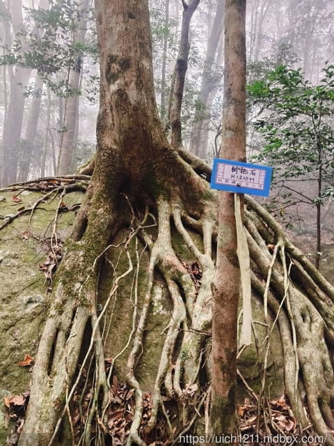 苗栗爬山