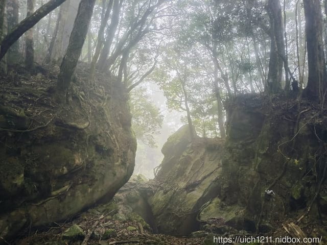 苗栗爬山