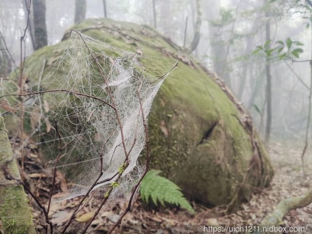 苗栗爬山