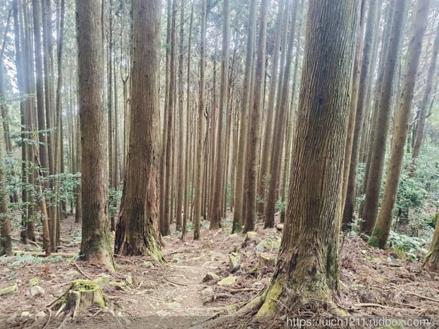 苗栗爬山