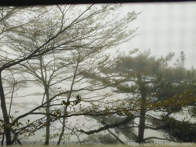 114年過年紀錄