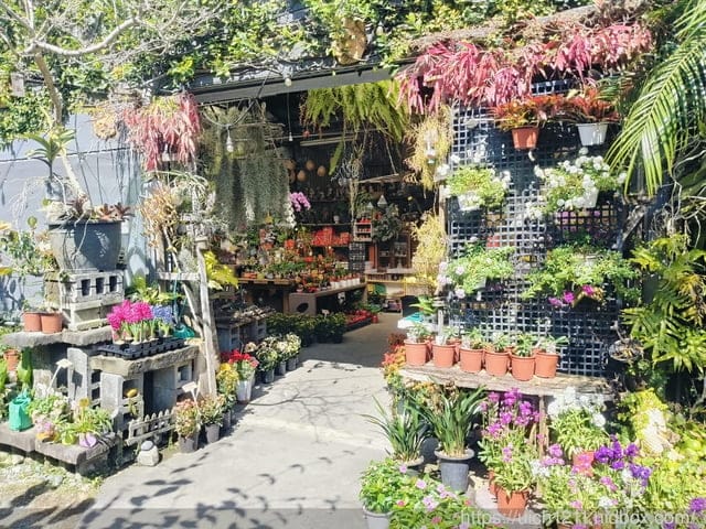 文心園.花園咖啡