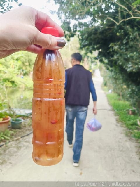 台南美食溫泉之旅