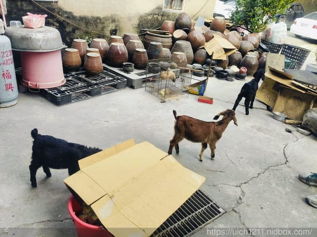 台南美食溫泉之旅