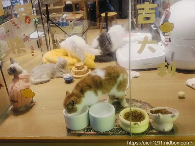 過境上海之旅 - 第15張圖 過境上海之旅