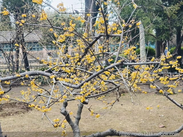 山東泰安