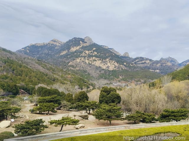 山東泰安