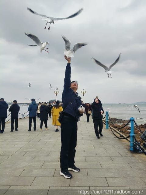 山東青島