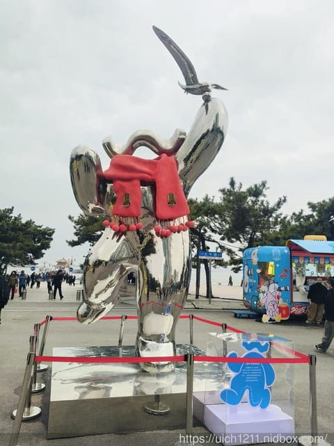 山東青島