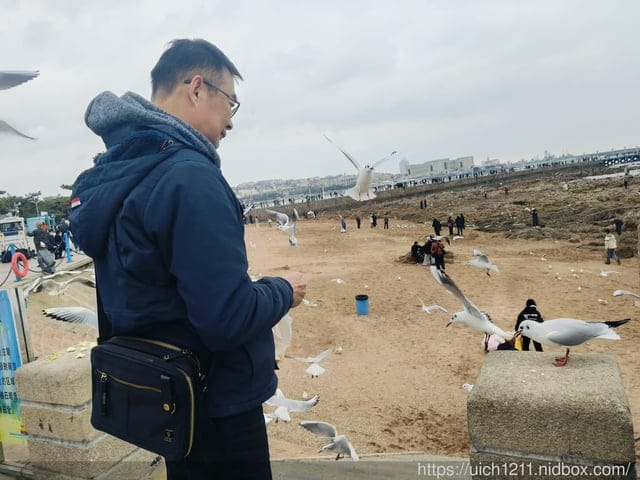 山東青島