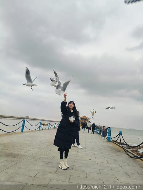山東青島