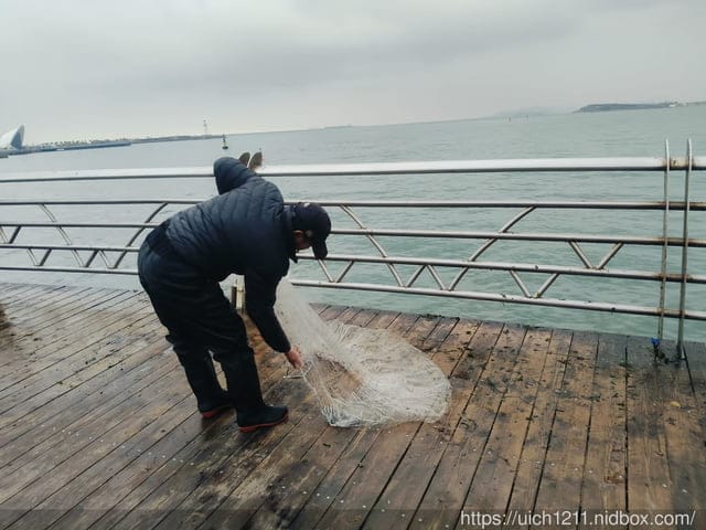 山東青島