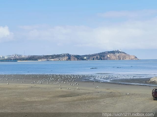 山東煙台