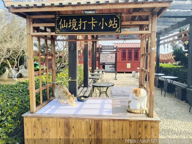 山東煙台