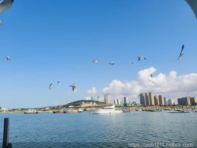 山東威海 - 第3張圖 山東威海