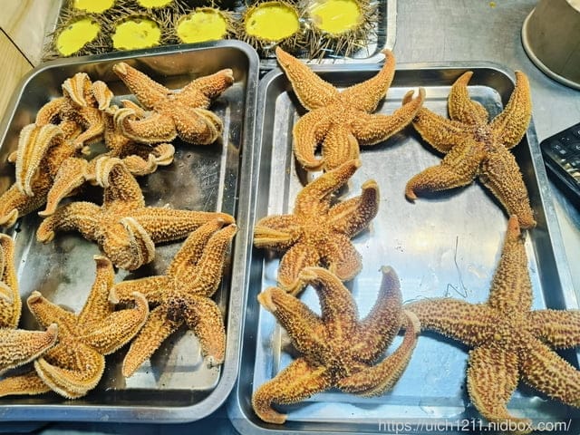 威海華夏城與青島 - 第45張圖 威海華夏城與青島