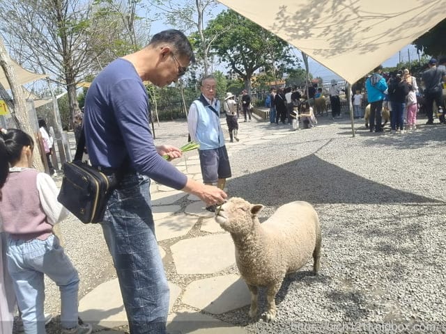 埔里之旅 - 第19張圖 埔里之旅