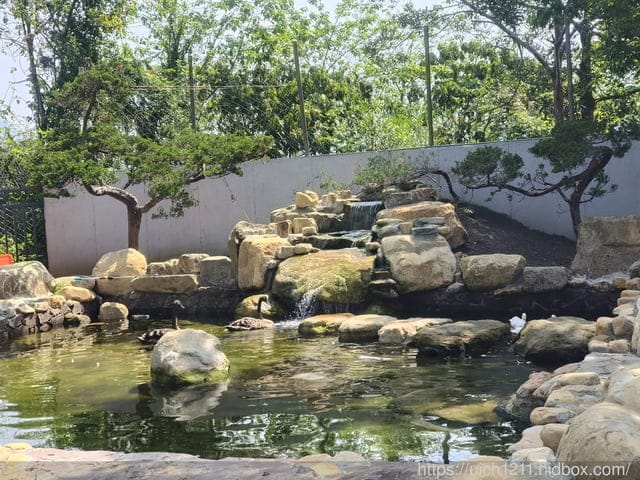 埔里之旅 - 第24張圖 埔里之旅