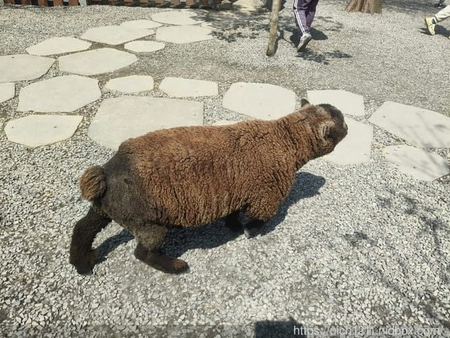 埔里之旅 - 第21張圖 埔里之旅
