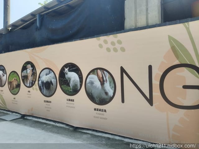 埔里之旅 - 第15張圖 埔里之旅