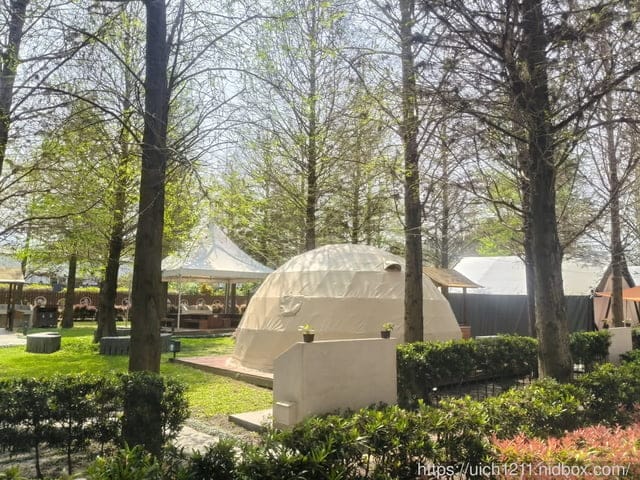 埔里之旅 - 第8張圖 埔里之旅