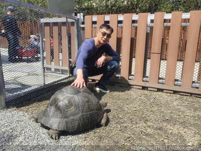 埔里之旅 - 第16張圖 埔里之旅