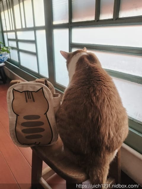 立賀佇遮 - 第35張圖 立賀佇遮