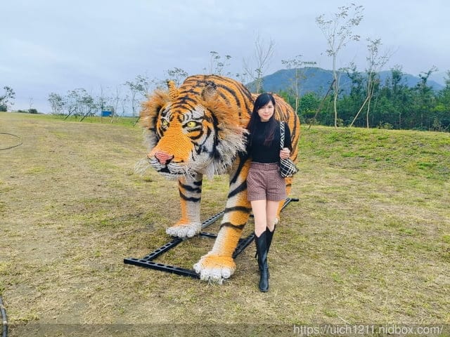 環島之旅