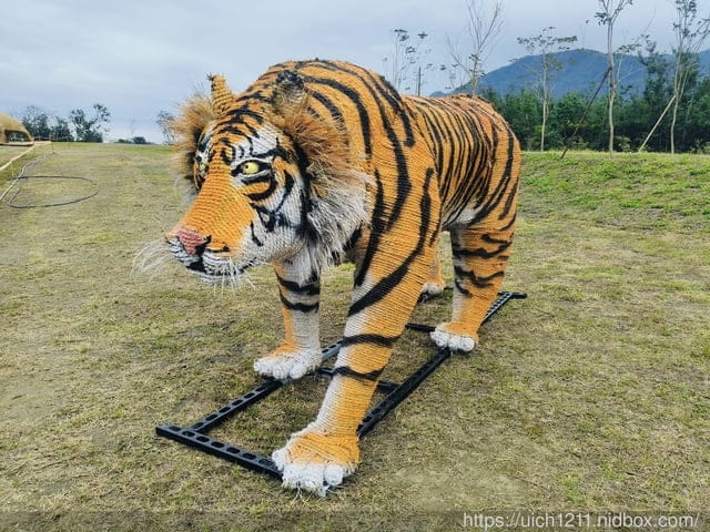 環島之旅