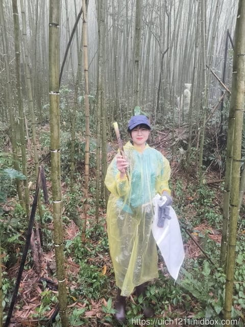 採筍樂 - 第30張圖 採筍樂