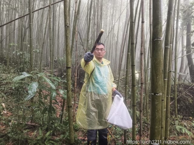 採筍樂 - 第28張圖 採筍樂