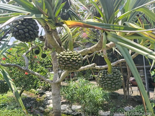 花佈院