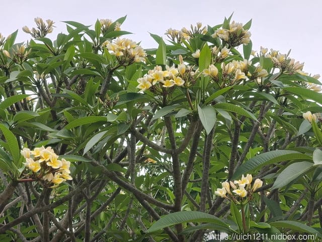 徒步環島台中-彰化 - 第11張圖 徒步環島台中-彰化