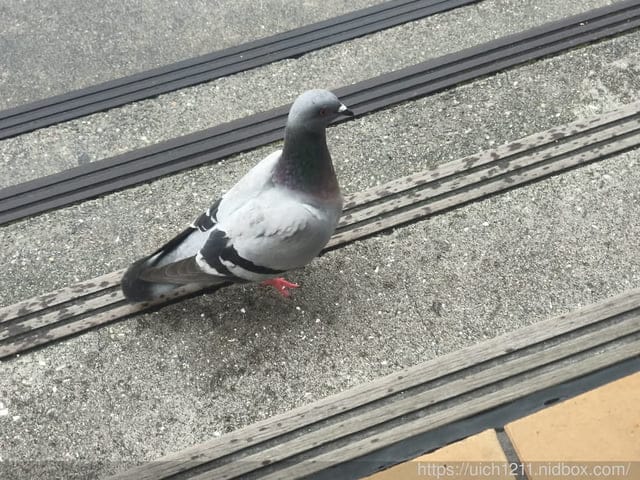 日本神戶之旅1