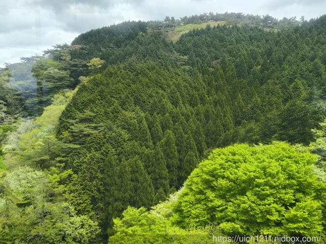 日本神戶之旅3 - 第44張圖 日本神戶之旅3